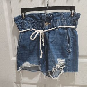 American Eagle Outfitters Blue Distressed High Waist Shorts